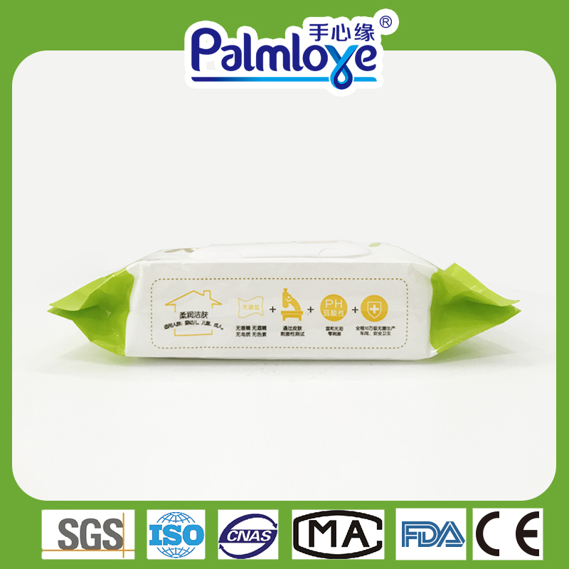 Factory Bulk Wipes Family Pack Wipe with Baby Wipes Cover Wipes for Newborn Children OEM