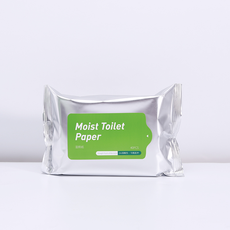 Flushable Sanitary Wipes: Biodegradable and Environmentally Friendly, 13*18.5cm