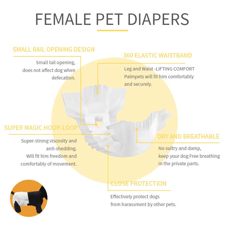 OEM Palmpets Pet Diaper for Pet Diapers Dog Breathable Economic 